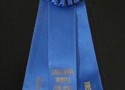 E.W. Fine Arts 2010 - 1st Place