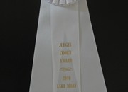 Heathrow Arts Fest 2010 - 1st Place