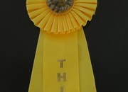 Sun Fest 2010 Art Show - 3rd Place