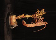 lobster-sculptures (1)